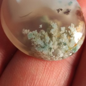 تصویر نگین عقیق شجر بهاری زمینه شیری 