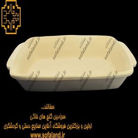 تصویر مرغ خوری طرح پیرکس 