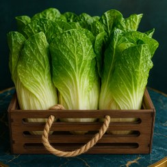 تصویر میوه مصنوعی کاهو درجه یک وارداتی (سنگین و باکیفیت) 