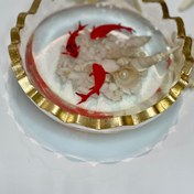 تصویر تنگ ماهی رزینی همراه باماهی رزینی 
