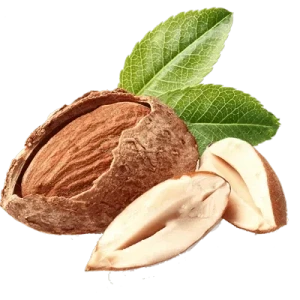 تصویر فروشگاه نهالستان رویال رونق