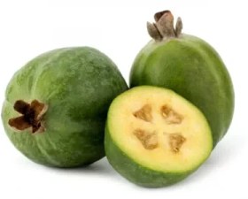 تصویر نهال فیجوا 