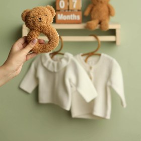 تصویر جغجغه تدی اچ اند ام 