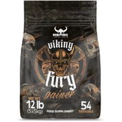 تصویر گینر ۵/۵ کیلویی فوق حرفه ای وایکینگ فورس VIKING FURY GAINER
