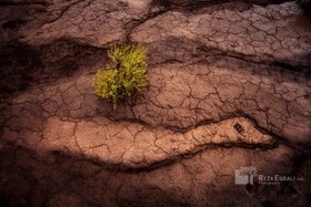 تصویر عکس “صلح” 