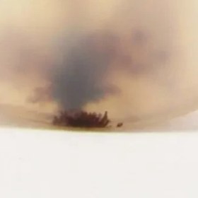 تصویر سنگ شجر کد 3034 