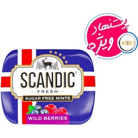 تصویر قرص خوشبو کننده دهان بدون قند با طعم توت وحشی جعبه فلزی 14 گرم اسکاندیک Scandic sugar-free mouth freshener tablets 14 g