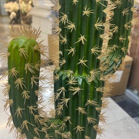 تصویر درختچه کاکتوس مصنوعی 