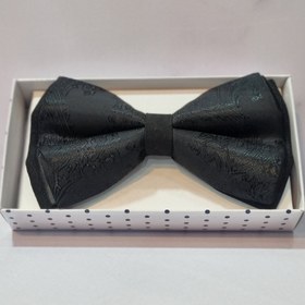 تصویر پاپیون P21 