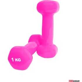 تصویر دمبل ایروبیک رکورد ۱ کیلوگرم بسته ۲ عددی 