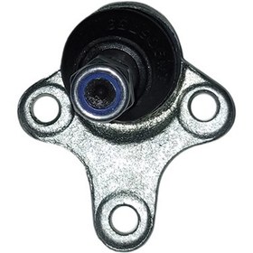 تصویر سیبک طبق آریزو 5 