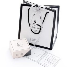 تصویر گوشواره نیل با فیروزه 