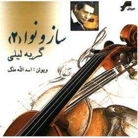 تصویر ساز و نوا(۲) گریه لیلی 