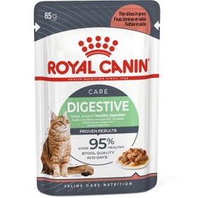 تصویر پوچ گربه دایجستیو گوارش حساس رویال کنین 85 گرم Royal Canin Digest Sensitive Gravy 85g