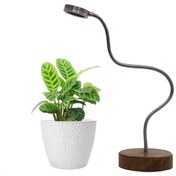 تصویر لامپ رشد گیاه رومیزی 