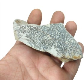 تصویر سنگ شجر پیرولوزیت فوق العاده زیبا و معدنی (2عدد) 