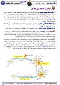 تصویر جزوه زیست یازدهم عمارلو رایگان با [20%] تخفیف ویژه 1404 