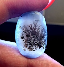 تصویر نگین شجر طبیعی کد ۱۲۰۸۷ 