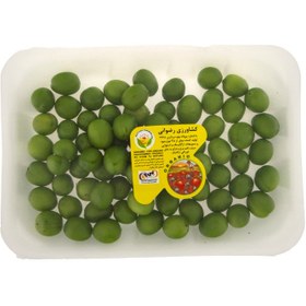 تصویر گوجه سبز ارگانیک 