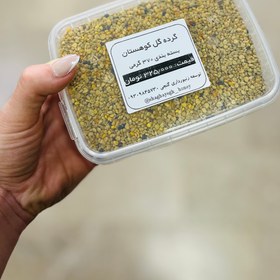 تصویر گرده گل کوهستان pollen