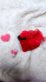 تصویر جاسوییچی 