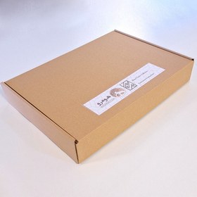 تصویر پوستر هومرو مدل فلزی طرح Sekiro کد PS966 