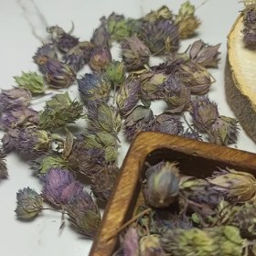 تصویر گل زوفا 