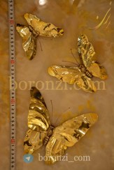 تصویر دیوار کوب برنجی پروانه ساده 