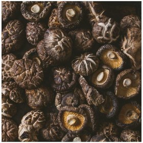 تصویر پودر قارچ شیتاکه 