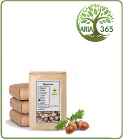 تصویر میوه بلوط خشک فله 