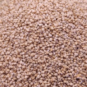 تصویر کینوا فله ای 