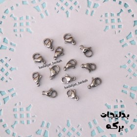 تصویر قفل طوطی استیل 