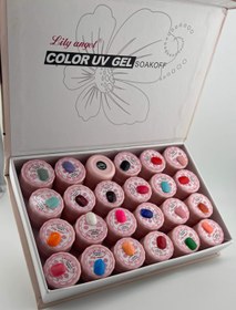 تصویر پینت ژل ۲۴ عددی 