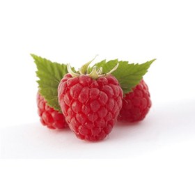 تصویر رز بری Raspberry