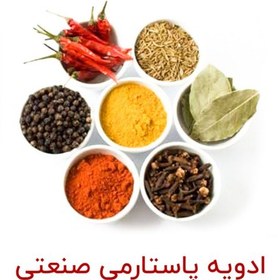 تصویر ادویه پاستارمی صنعتی 70 گرمی (جهت سوسیس و کالباس) 