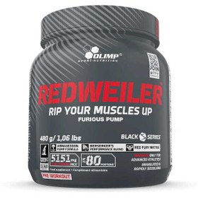 تصویر پمپ رد ویلر الیمپ | OLIMP REDWEILER 