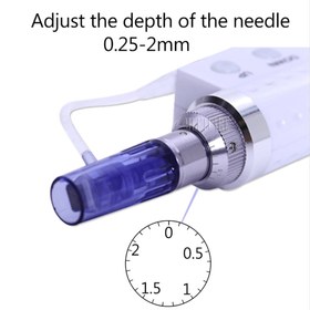 تصویر سوزن مزوگان 