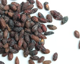 تصویر زغال اخته 