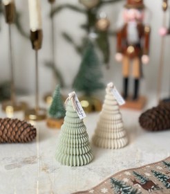 تصویر شمع کاج سوزنی 