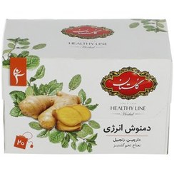 تصویر دمنوش انرژی گلستان بسته 20 عددی 