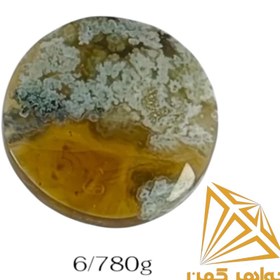 تصویر نگین شجر پاییزی کد(۶۹) 