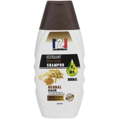 تصویر شامپو مو 121 مدل Wheat Germ حجم 220 میلی لیتر 