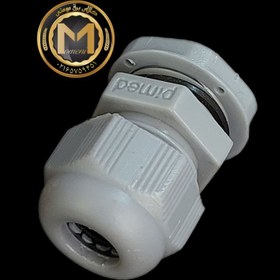 تصویر گلند پی جی 16 