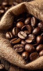 تصویر دانه قهوه عربیکا ۱۰۰ 