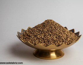 تصویر شادونه 