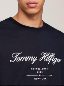 تصویر تیشرت مردانه تامی هیلفیگر اورجینال آبی سرمه ای Tommy Hilfiger MW0MW33691-TO 