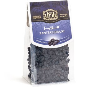 تصویر مویز رادگل 