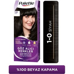 تصویر رنگ مو مشکی سیاه پالت Palette 1 شوارتسکف Schwarzkopf 