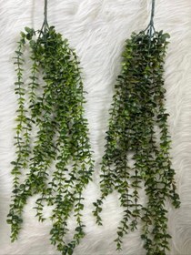 تصویر ریسه های آویزسبزوبنفش بدون بو بسیارباکیفیت - بنفش 