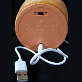 تصویر کاکتوس رقصنده شارژی 